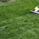 Top 10 Cutting-Edge Smart Technology Gadgets Evaluated This Year
