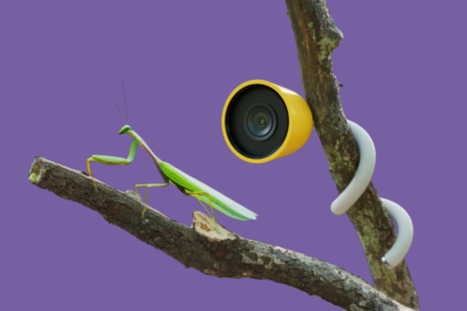 CES 2025: Introducing Bird Buddy’s Innovative Nature Camera That Reveals Your Plants’ Daily Experiences