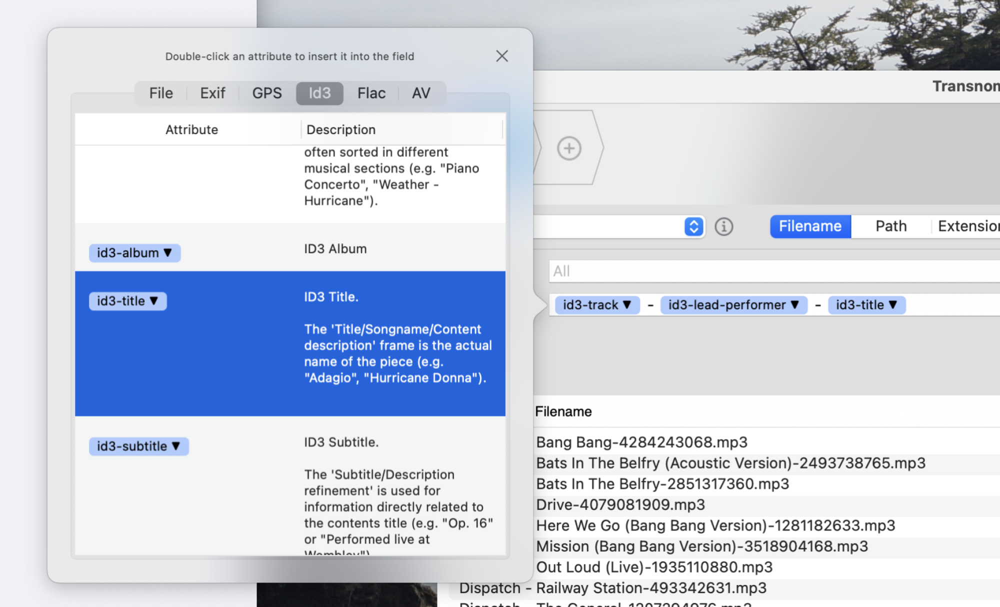 The metadata pop-up window offers file data, EXIF, GPS, id3, Flac, and AV metadata.