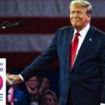 Young Perspectives on the Trump Phenomenon: An Adult’s Handbook to Understanding Youth Culture