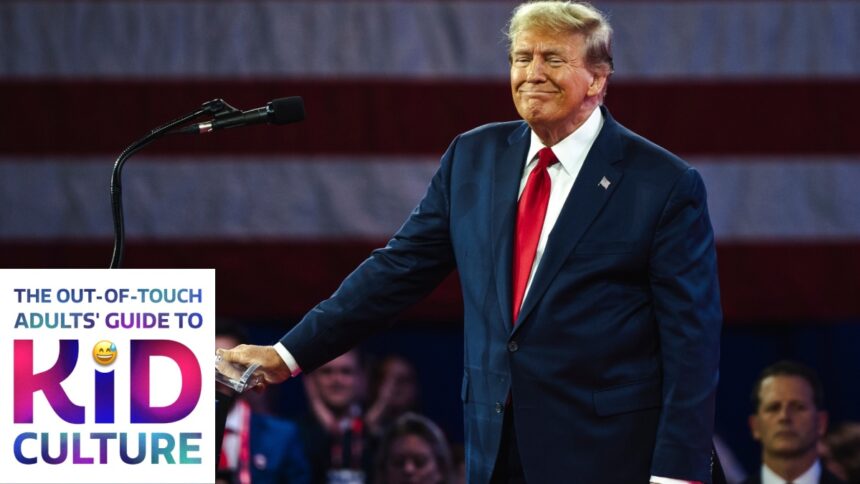 Young Perspectives on the Trump Phenomenon: An Adult’s Handbook to Understanding Youth Culture