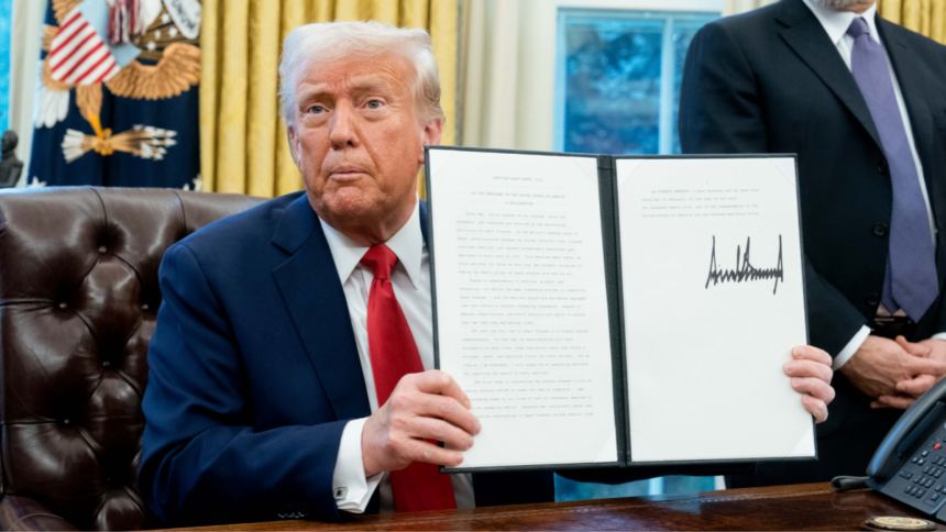 Is the US Government Considering Acquiring TikTok?