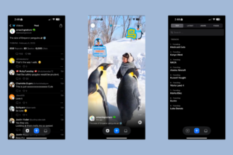 Bluesky Introduces Its Own TikTok-Like Feature