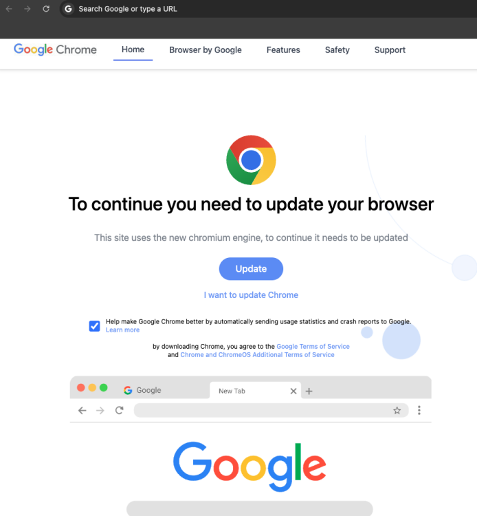 fake Chrome update page