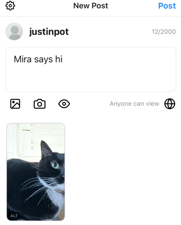 User-friendly interface for photo uploads, whether taken in-app or shared from the device's gallery.