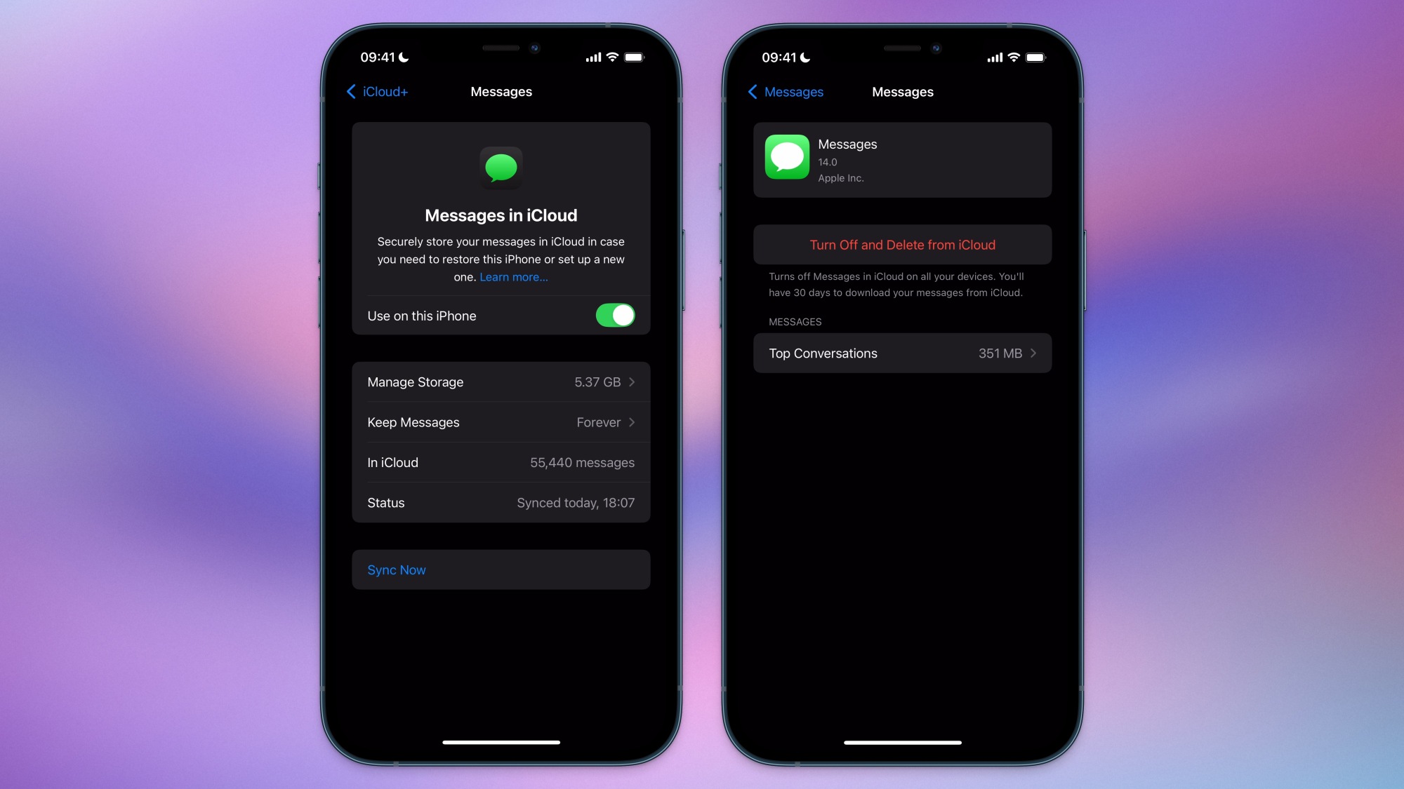 Screenshots showing how to delete messages from iCloud.