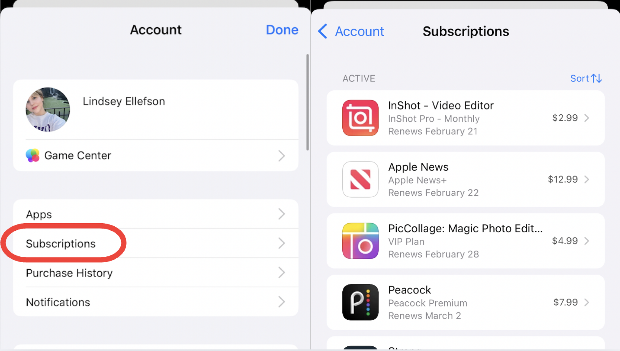 Managing subscriptions on Apple iPhone