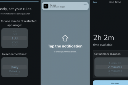 A Thorough Review of the Steppin Application: Key Features and Insights