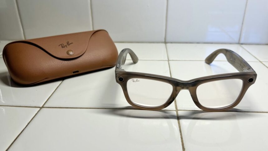 Insights Gained from Half a Year of Using Ray-Ban Meta Smart Glasses