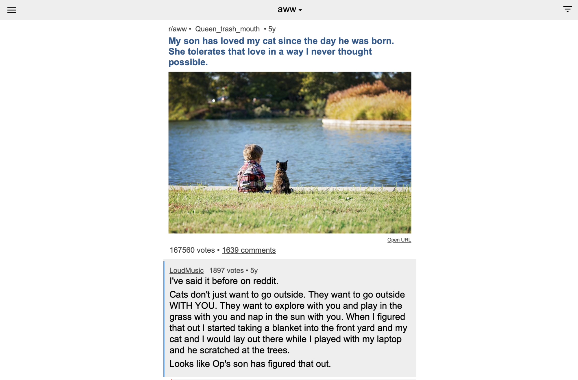 A charming Reddit post featuring a child and a cat relaxing by a pond