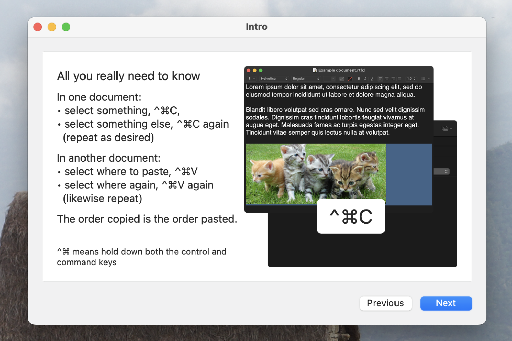 Screenshot demonstrating the batch copy and paste function of the application.