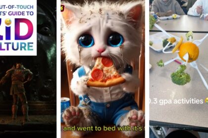 A Comprehensive Guide for Adults to Understanding Contemporary Youth Culture: Navigating YouTube Trends and Feline-Focused Content