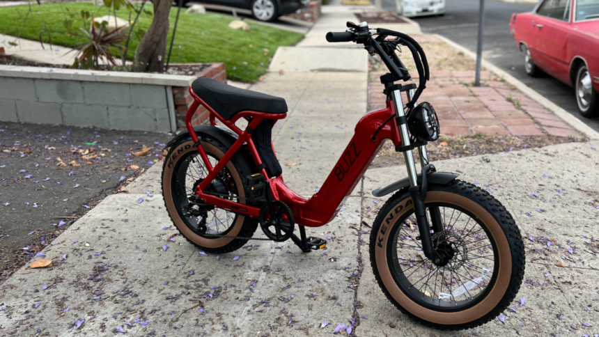 Adjusting the Configurations of a Buzz Drone Electric Bicycle