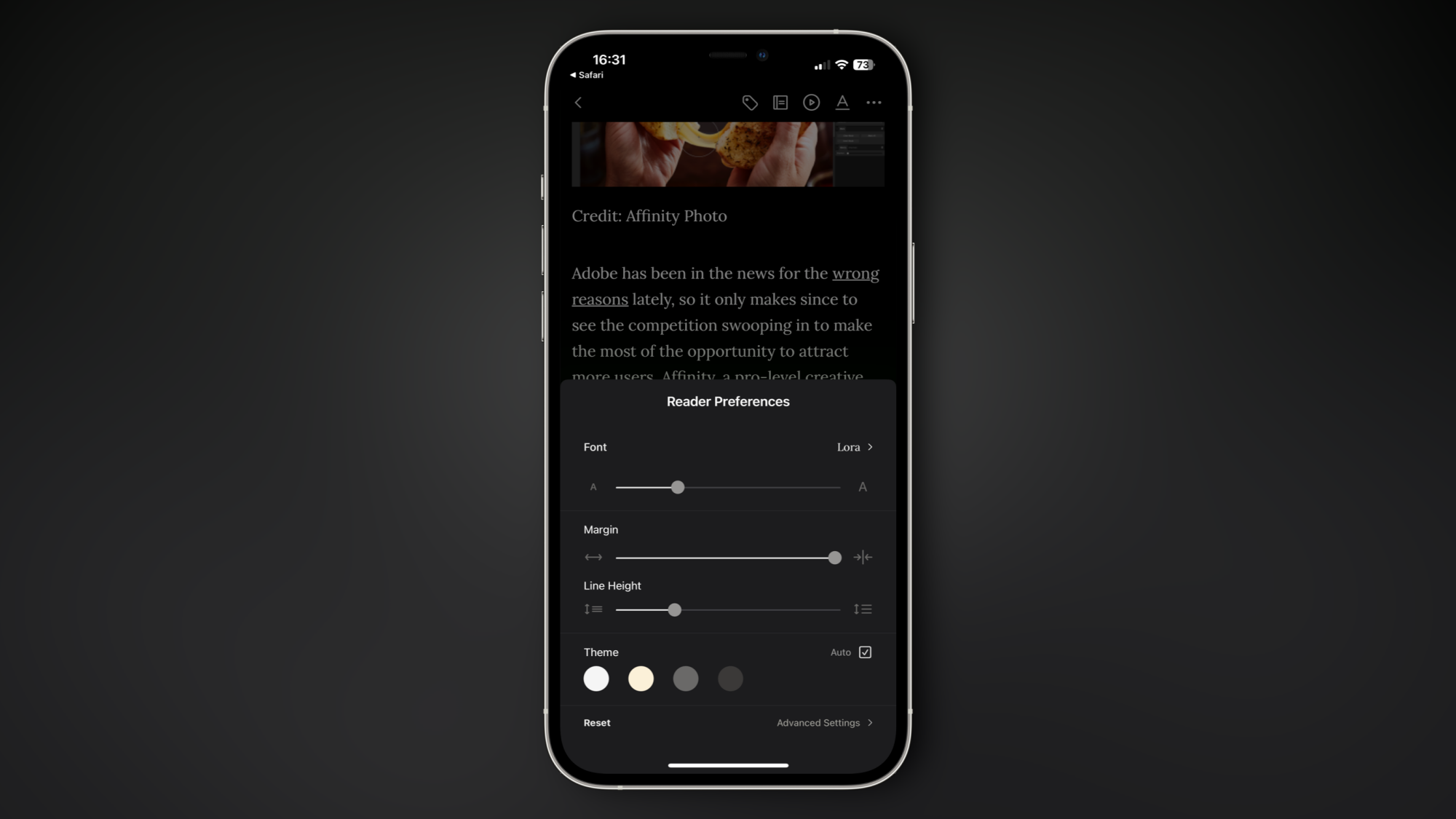 Screenshot of reader options in the Omnivore iPhone app.