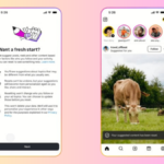 Revamping Your Instagram Algorithm for a Fresh Start