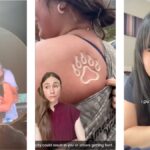 A Comprehensive Overview of Freeze Branding and Its Significance in Youth Culture for Those Unfamiliar with Current Trends