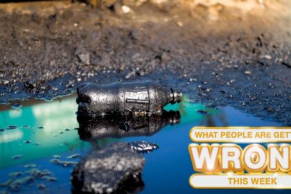 Misconceptions Surrounding Julian Brown’s Vanishing: This Week’s Key Insights